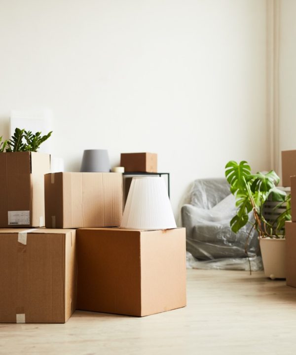 cardboard boxes in new home